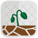 پیش‌نمایش فایل bean-sprouts-2243292 از پک طبیعت