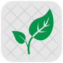پیش‌نمایش فایل bud-leaves-2243291 از پک طبیعت