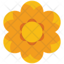 پیش‌نمایش فایل buttercup-flower-2243290 از پک طبیعت