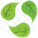 پیش‌نمایش فایل green-recycle-leaves-2243297 از پک طبیعت