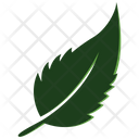 پیش‌نمایش فایل mint-leaf-2243274 از پک طبیعت