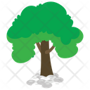 پیش‌نمایش فایل oak-tree-2243272 از پک طبیعت