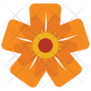 پیش‌نمایش فایل orange-wild-flower-2243271 از پک طبیعت