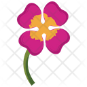 پیش‌نمایش فایل petal-flower-2243296 از پک طبیعت