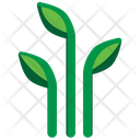 پیش‌نمایش فایل plant-2243265 از پک طبیعت