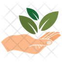 پیش‌نمایش فایل plant-a-tree-2243267 از پک طبیعت