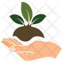 پیش‌نمایش فایل plant-in-hand-2243266 از پک طبیعت