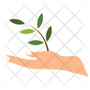 پیش‌نمایش فایل planting-tree-2243264 از پک طبیعت