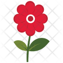 پیش‌نمایش فایل red-cut-flower-leaf-2243262 از پک طبیعت