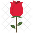 پیش‌نمایش فایل red-rose-2243261 از پک طبیعت