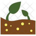 پیش‌نمایش فایل sprouts-2243257 از پک طبیعت