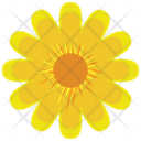 پیش‌نمایش فایل sunflower-2243255 از پک طبیعت