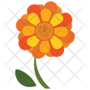 پیش‌نمایش فایل sunflower-leaf-2243256 از پک طبیعت