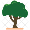 پیش‌نمایش فایل tree-2243253 از پک طبیعت
