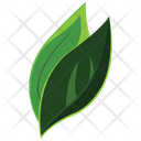 پیش‌نمایش فایل tree-leaves-2243254 از پک طبیعت