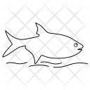 پیش‌نمایش فایل shark-9 از پک جانور جی آی (LINE)