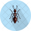 پیش‌نمایش فایل ant-8 از پک حیوان (فلت)