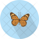 پیش‌نمایش فایل butterfly-112 از پک حیوان (فلت)