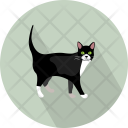 پیش‌نمایش فایل cat-106 از پک حیوان (فلت)