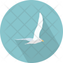 پیش‌نمایش فایل dove-9 از پک حیوان (فلت)