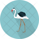 پیش‌نمایش فایل flamingo-3 از پک حیوان (فلت)