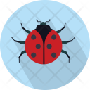 پیش‌نمایش فایل ladybird-3 از پک حیوان (فلت)