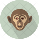 پیش‌نمایش فایل monkey-33 از پک حیوان (فلت)