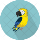 پیش‌نمایش فایل parrot-6 از پک حیوان (فلت)