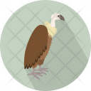 پیش‌نمایش فایل vulture-2 از پک حیوان (فلت)