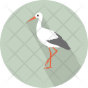 پیش‌نمایش فایل white-33 از پک حیوان (فلت)