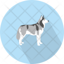 پیش‌نمایش فایل wolf-13 از پک حیوان (فلت)