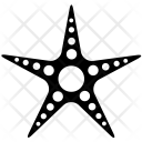 پیش‌نمایش فایل starfish-12 از پک حیوان (گلیف)