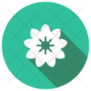 پیش‌نمایش فایل flower-1035 از پک کریسمس، جلد ۱