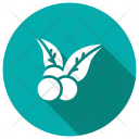 پیش‌نمایش فایل blueberry-24 از پک کریسمس، جلد ۲