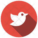 پیش‌نمایش فایل sparrow-33 از پک کریسمس، جلد ۲