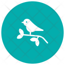 پیش‌نمایش فایل sparrow-34 از پک کریسمس، جلد ۱