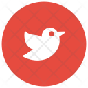 پیش‌نمایش فایل sparrow-37 از پک کریسمس، جلد ۱