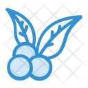 پیش‌نمایش فایل blueberry-28 از پک کریسمس، جلد ۲