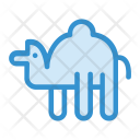 پیش‌نمایش فایل camel-44 از پک کریسمس، جلد ۲