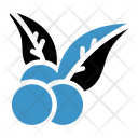 پیش‌نمایش فایل blueberry-30 از پک کریسمس، جلد ۲