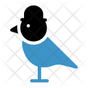 پیش‌نمایش فایل sparrow-44 از پک کریسمس، جلد ۲