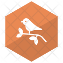 پیش‌نمایش فایل sparrow-55 از پک کریسمس، جلد ۱