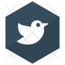 پیش‌نمایش فایل sparrow-57 از پک کریسمس، جلد ۱