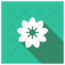 پیش‌نمایش فایل flower-1055 از پک کریسمس، جلد ۲