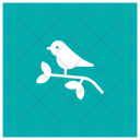 پیش‌نمایش فایل sparrow-75 از پک کریسمس، جلد ۱