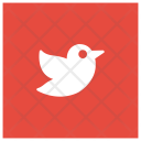 پیش‌نمایش فایل sparrow-77 از پک کریسمس، جلد ۱