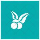 پیش‌نمایش فایل blueberry-47 از پک کریسمس، جلد ۲