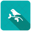 پیش‌نمایش فایل sparrow-79 از پک کریسمس، جلد ۱