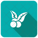 پیش‌نمایش فایل blueberry-49 از پک کریسمس، جلد ۲
