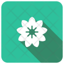 پیش‌نمایش فایل flower-1059 از پک کریسمس، جلد ۲
